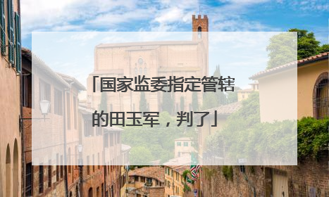 国家监委指定管辖的田玉军，判了
